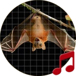 bat sounds android application logo